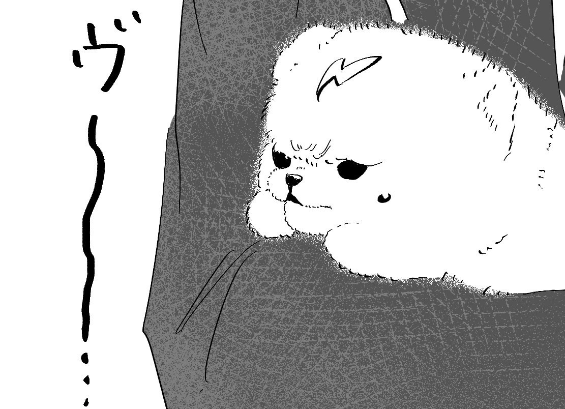 ポメセベクのupです 