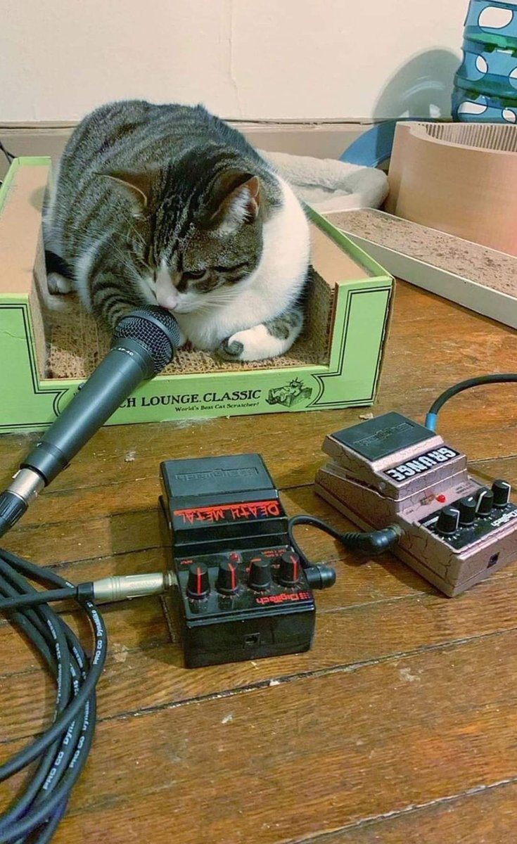 God Damn tweet media