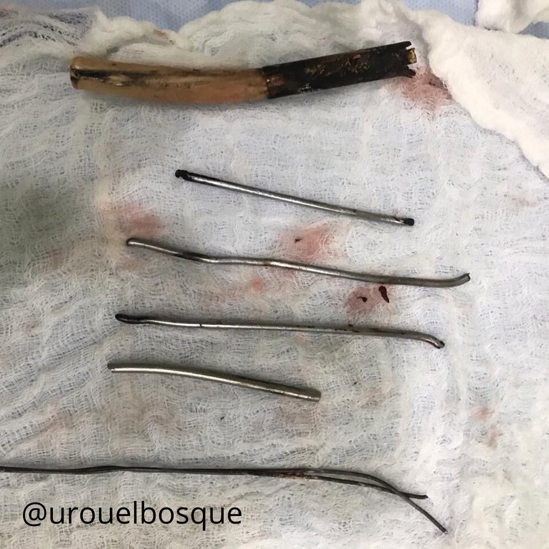 Urología Universidad El Bosque tweet media