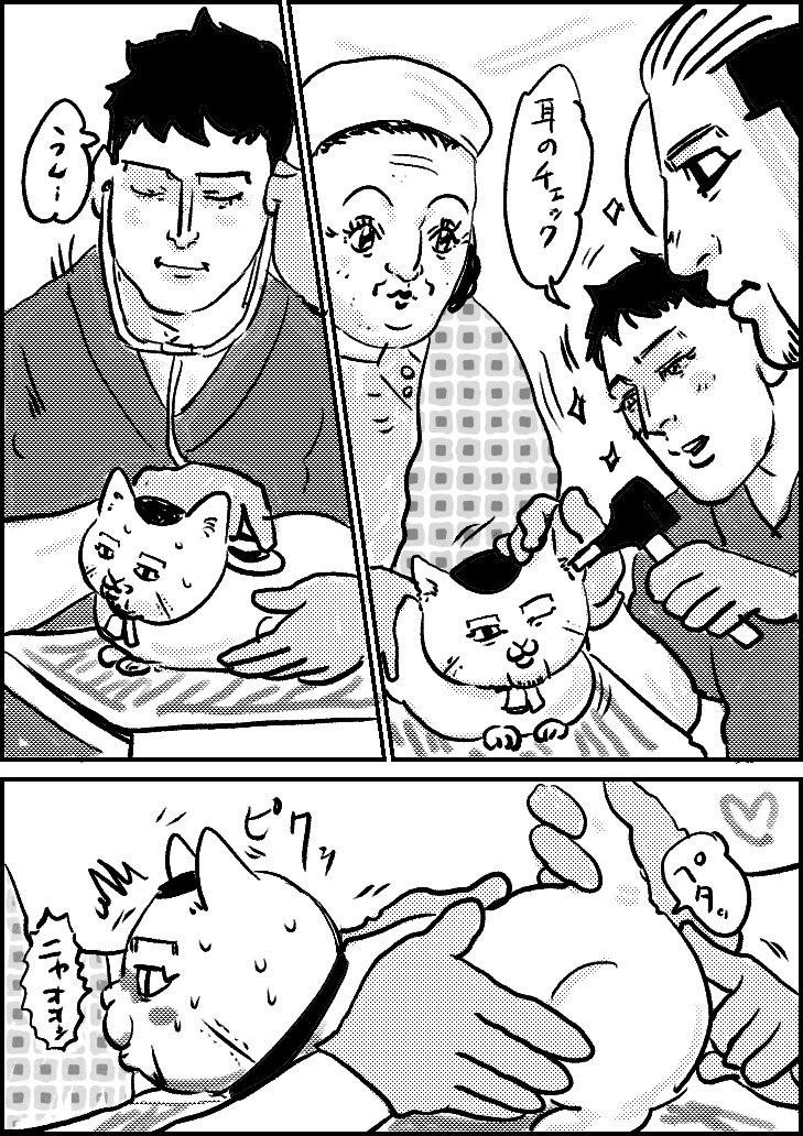 百助猫ちゃん62 