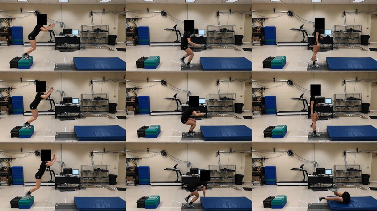 Falling as a strategy to decrease knee loading during landings: implications for ACL injury prevention
sciencedirect.com/science/articl…
#biomechanics