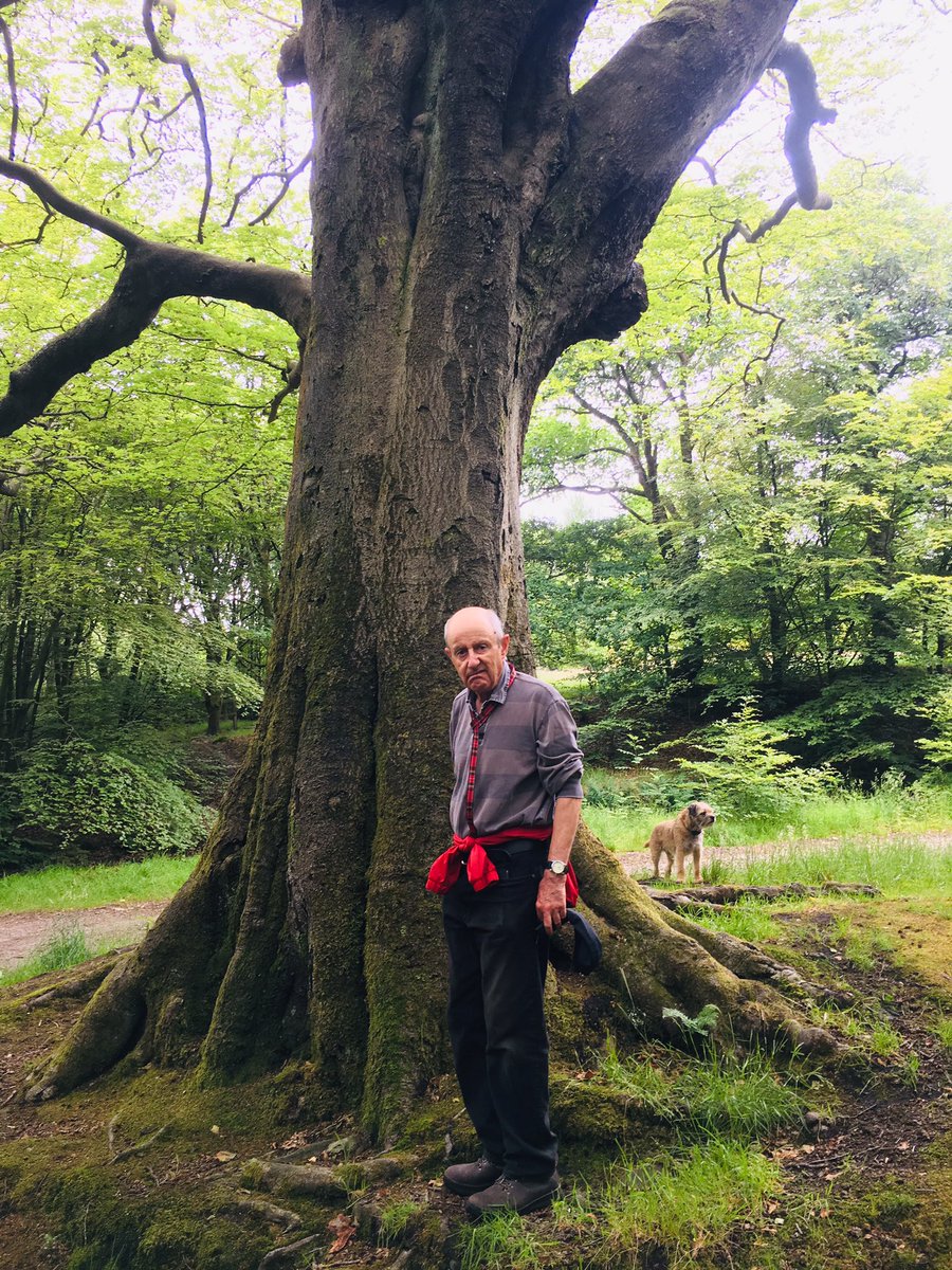 My dad was disappointed not to have brought his tape measure to measure this beautiful beech tree in rivington ! Could it be an ancient tree? He has already found a couple of ancient trees in rivington so maybe this one could be next #trees #bolton @WoodlandTrust
