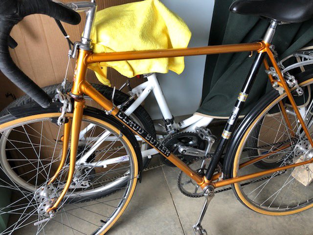 Scott Whitehead tweet media