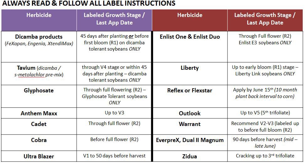 TheCornProphet's tweet photo. POST Herbicide options in soybeans.   Broadleaf options dwindling quickly as we reach growth stage &amp; DAP limits. Enlist on E3 soybeans good through flowering. Increased risk of yield impact as PPO options get used later in season.
https://t.co/YfvvBuhJUu https://t.co/he2pDhm4Xq