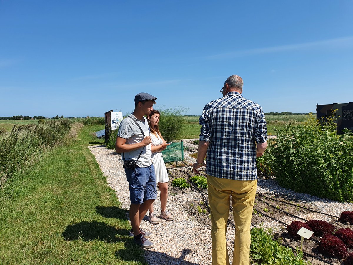 SaltFarmFoundat's tweet photo. We had a visit from French Journalist Margaux Solinas &amp; photographer Martin Bertrand. They are doing an extensive photo report of saline agriculture. We gave them a presentation of our work &amp; a tour of our test facilities and saline garden on Texel. #salfar #salineagriculture https://t.co/3I4JCadGlh