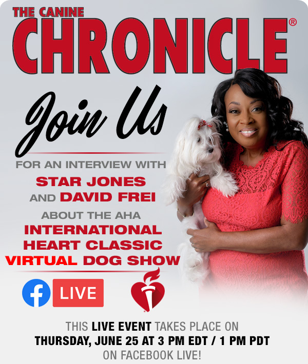 k9chronicle's tweet photo. Join Star Jones and David Frei live on Thursday, June 25 at 3pm EDT on Facebook live https://t.co/uQ86eoks2b
#StarJones #DavidFrei #americanheartassociation #VirtualDogShow
Don’t wait to register your adult, puppy, or veteran dog!
Entries are open NOW and close on JULY 4 https://t.co/RrVapNezcE