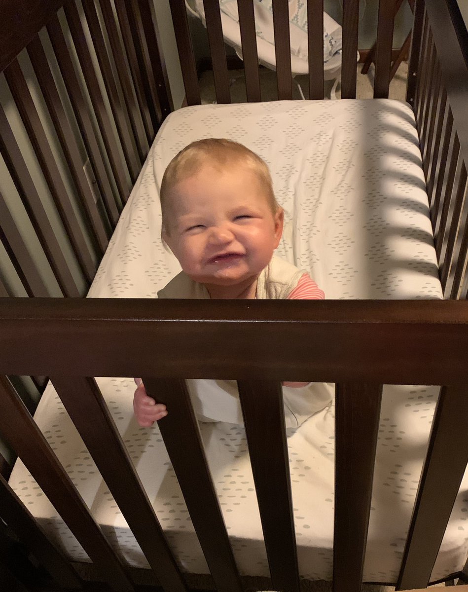 emilyygraceee's tweet photo. You know that feeling you get when you come home to your excited dog? 

Try getting out of bed to this. https://t.co/uZOkjW7G6B
