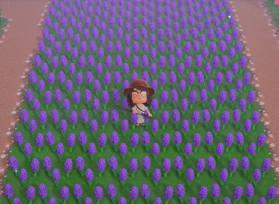 honeyhillacnh's tweet photo. 💜PURPLE HYACINTH GIVEAWAY💜

10 winners will receive a line of 8 purple hyacinths to get your lavender areas started!!

to enter:
💜like+rt
💜comment your most recent emoji
💜must be following me

giveaway ends on sunday
good luck!! 
#acnh #dodocode #acnhvillagertrades https://t.co/0IjwFjNZrP