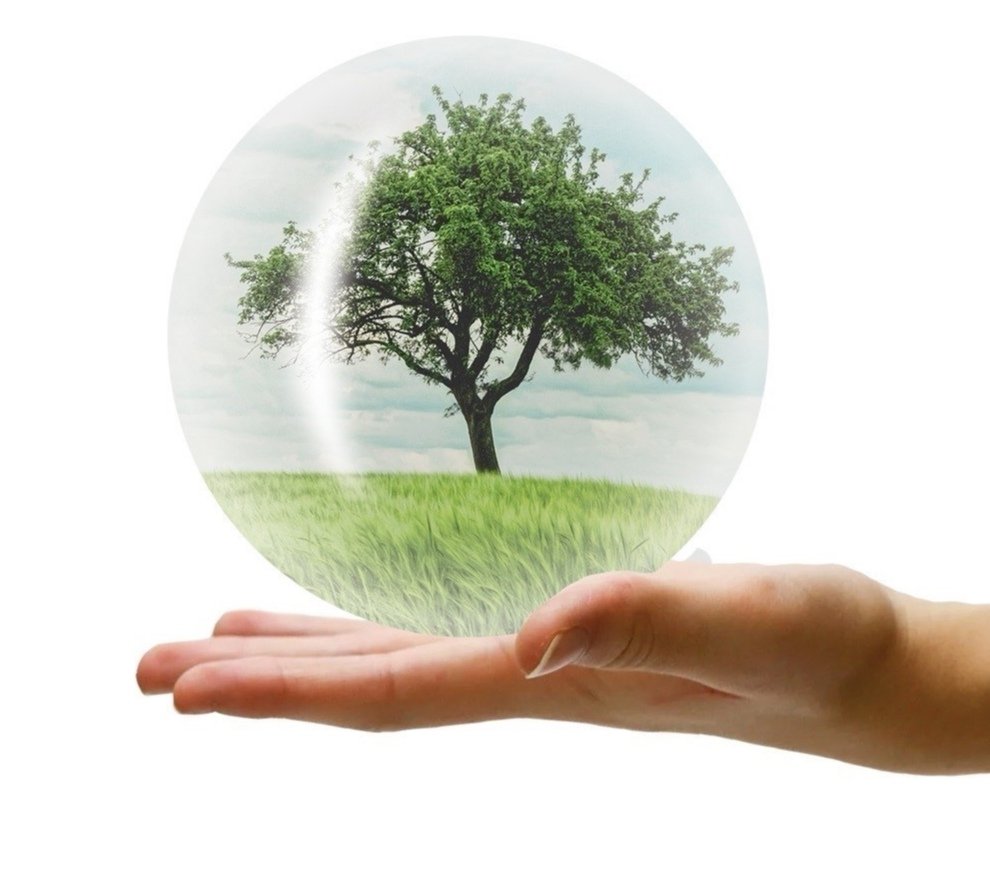 RaypathD's tweet image. Unsere Natur ist kostbar