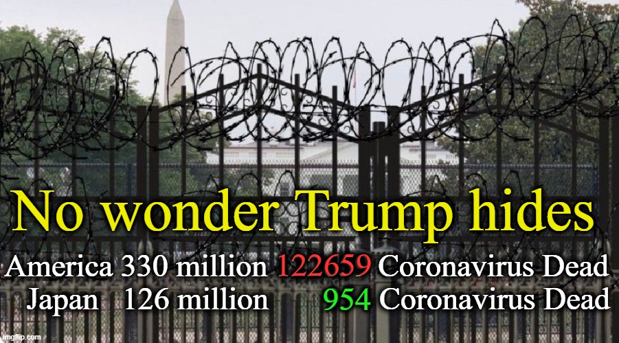 Mr_Quagmire_USA's tweet photo. @IvankaTrump @WhiteHouse proud of #BunkerDad ?

proud of #TrumpBodyCounts ?

proud of #TrumpRussianBailoutLoansKGB ? https://t.co/uImaQfqJGV