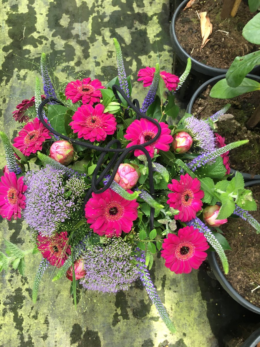 Tom Bade tweet media