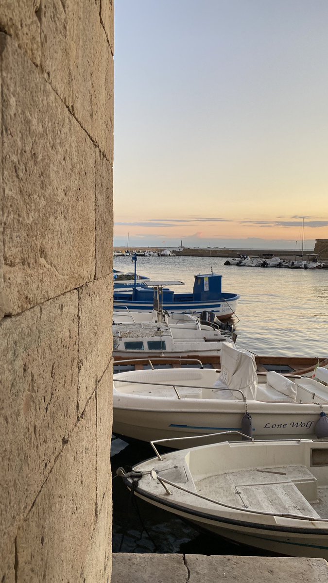 Massimo (@massimo_2020) on Twitter photo 