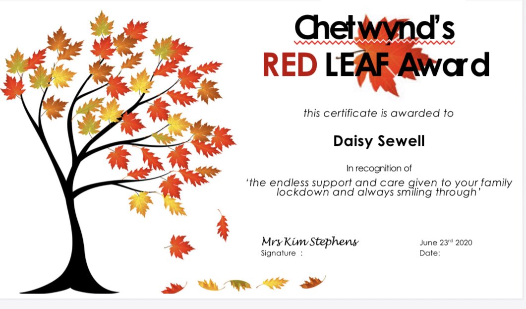 Our 1st award goes to Daisy, who has had an extremely difficult lockdown. One which she has handled with great maturity. The whole of the Chetwynd Team are proud of you Daisy, well done! #Award #Proud #lockdown