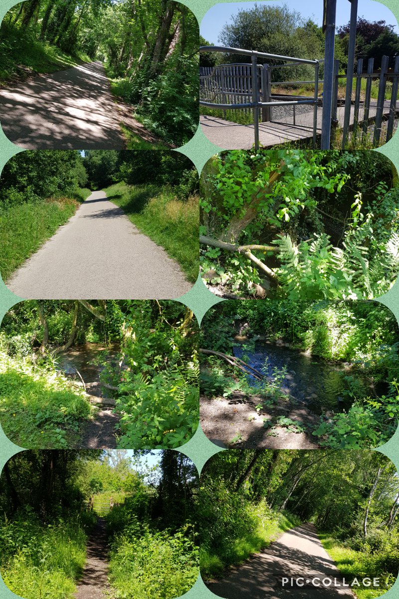 Just got back from another walk and now time to chill before <a href="/VoicesFromCare/">Voices from Care Cymru</a> quiz tonight. This weather is lush but blinking heck it's hot.🚶‍♀️🥵