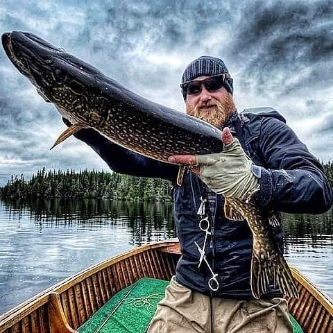 esnagami's tweet image. Jeff Inwood.. catching and releasing trophy pike on the fly..at Esnagami #essoxlucius #flyfishingpike #pikenation #esnagamilodge #flyfishingaddict #flyfishingjunkie #greenstonecountry #algomacountry #northernontario #ohcanada