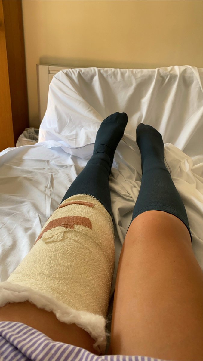 Laura Major tweet media