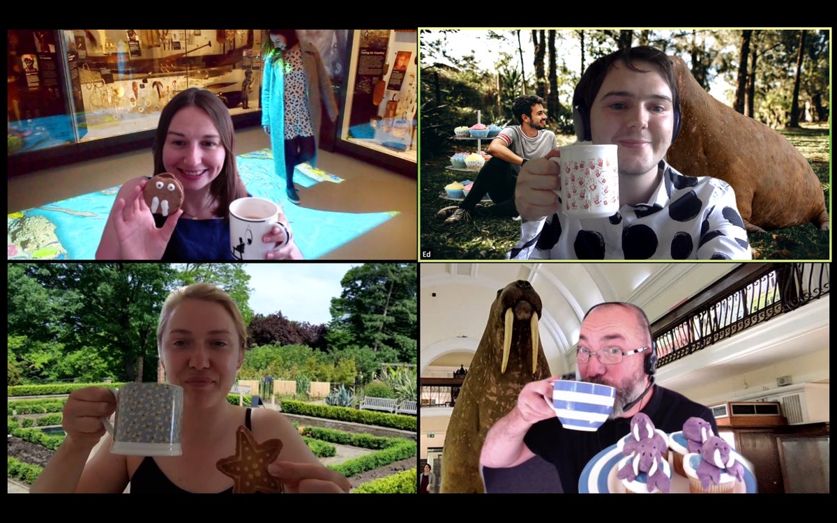 cog_design's tweet photo. We've started our (Zoom) tea party for #WalrusTeaParty
Here's some of the team with their tea, cakes, and themed Zoom backgrounds https://t.co/mUTa0GrbI8