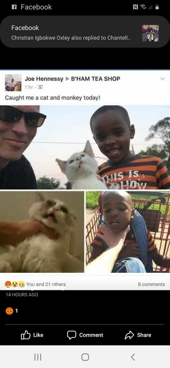 Toni-Camille on Twitter: “Thank god this has been shared! I’m from the