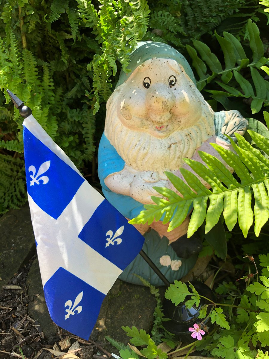 BarbaraDanielQG's tweet photo. #Fêtenationale@Quebecuk🌻☀️🎉🎊🍾🌈 https://t.co/zripm9StNx