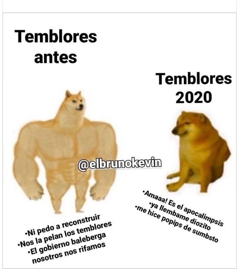 esemirivers's tweet photo. @convoynetwork @ruleiro @eltalcha #PoderosoDistritoFederal #poderoso 
Yo ayer me puse medio perrito débil. 😆
A seguirla rifando. https://t.co/4PzBKnsWp3