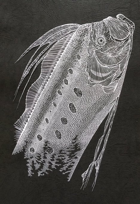 #線密切り絵
#切り絵
このタグは…便乗するしかない!
正直今元気づけて欲しい気分なのでよろしくお願い致しまっす! 