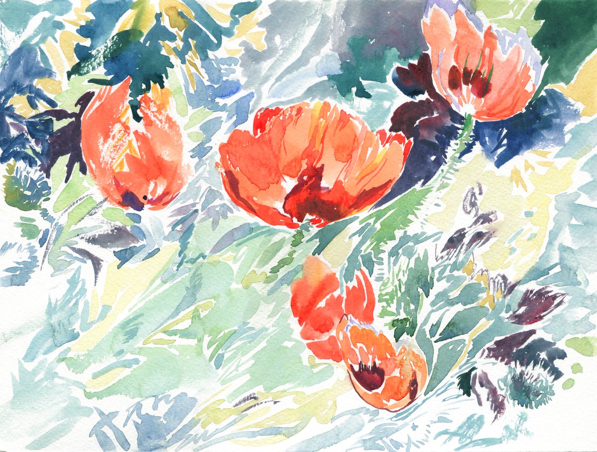 ArtWindd's tweet photo. New watercolor Poppies in the Hohenheim garden ☀️ #watercolor #waterblog #flowers #floral #spring #art #poppies #red #маки #цветы #акварель #живопись #искусство #nature #garden #hohenheim #plieningen https://t.co/WRnyt88wRf