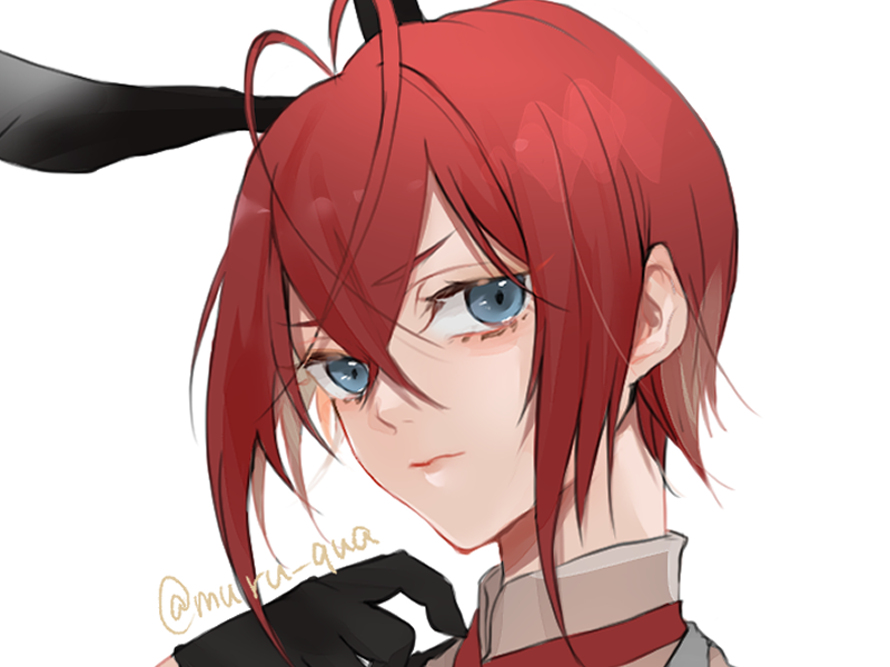 1boy male focus gloves red hair solo blue eyes animal ears  illustration images