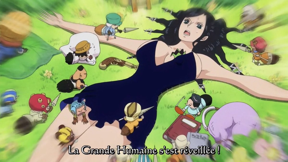  - Arc Dressrosa - 8/46Pendant ce temps dans la forêt de Green Bit Usopp et Robin se font enlever par les Tontattas.Mais ce peuple est allié a l’ancien roi et est aujourd’hui victime de Doflamingo, une alliance se crée alors :