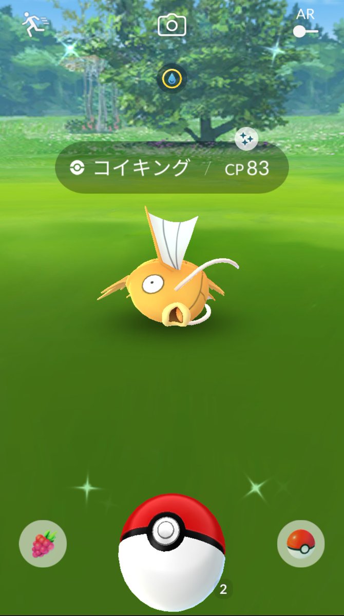 Tommy ポケモンgo垢 今日の色違いは2匹目のコイキング 前のイベントの時は1匹しか光らなくて悔しい思いをしたのにまさかの今 笑 やっぱり嬉しい金のコイキング ポケモンgo 色違いポケモン コイキング色違い