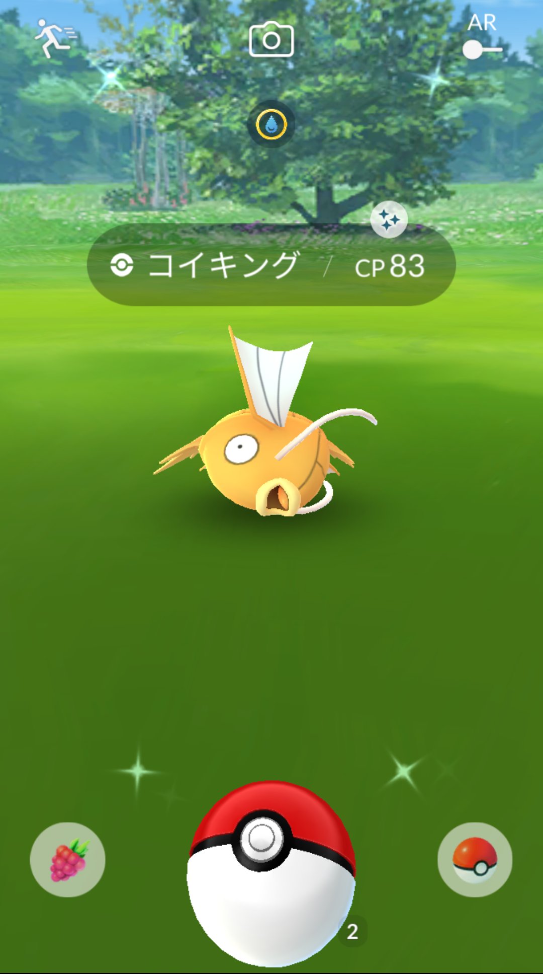 Tommy ポケモンgo垢 今日の色違いは2匹目のコイキング 前のイベントの時は1匹しか光らなくて悔しい思いをしたのにまさかの今 笑 やっぱり嬉しい金のコイキング ポケモンgo 色違いポケモン コイキング色違い T Co Geosys7itd