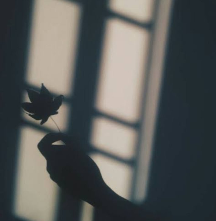 P. tweet media