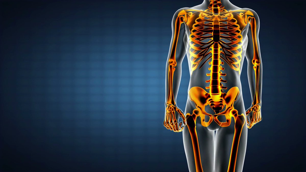Exprmntl_ortho's tweet image. Complex #Elbow Dislocation with #Ipsilateral Proximal Third #Radius Fracture: Comparison of Outcome of Two Cases Managed Differently, To read complete article please click on the link given: bit.ly/3fT0uDn
