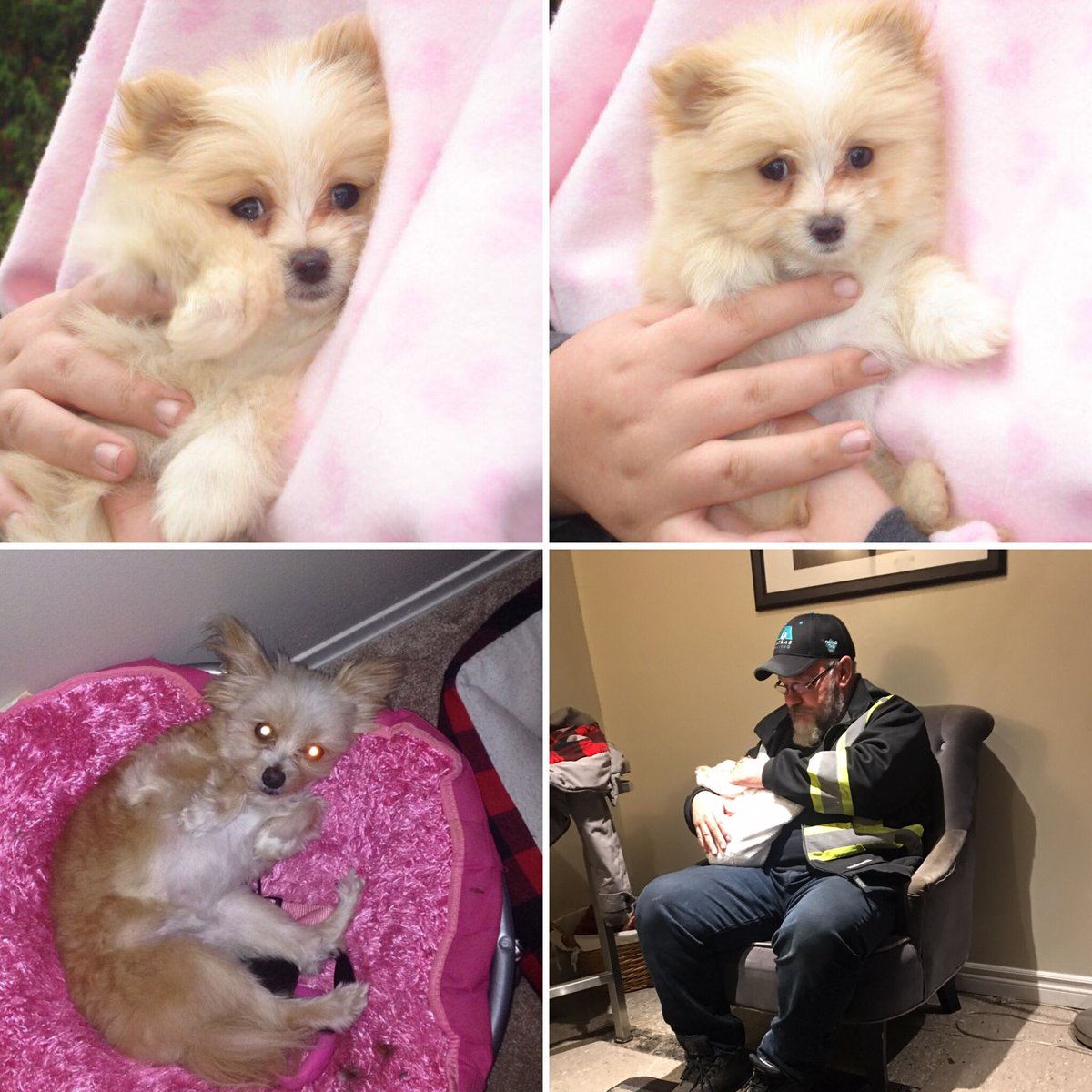 Before I go into full  @ProBackyard promoting mode I’m gonna do a thread of all the photos of my pets in my phone.Enjoy!  