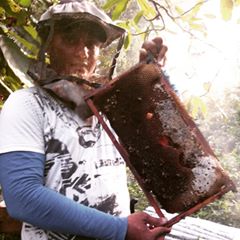INTAProapi's tweet photo. #SemanadelApicultor: Soy #JoeldeJesúsAbreu de la #RepúblicaDominicana de con mas de 10 años en la apicultura.
@intaargentina #Redlacaf https://t.co/U50l7Udq54