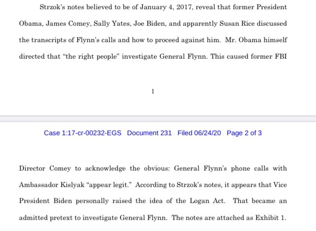 Strzok notes out —Obama, Biden, Yates, Rice, Comey all discussed Flynn/Kislyak calls: “unusual times”—Comey admitted they “appear legit”—OBAMA ordered: “make sure you look at things” with “the right people”—BIDEN appears to be one to raise “Logan Act v[iolation]?”