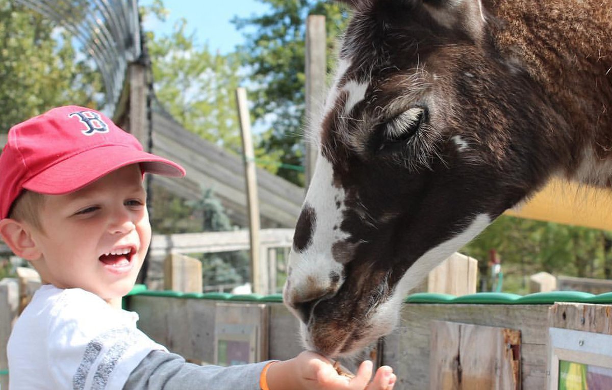 DavisFarmland's tweet photo. @somegoodnews Davis Farmland is thanking healthcare workers, police officers, firefighters/EMT’s, active military, &amp; correctional officers by giving these heroic individuals a FREE admission ticket this Sat. and Sun. Reserve Online. Visit https://t.co/jIzeG1IFt8 for more info. https://t.co/g00WPNOHfm