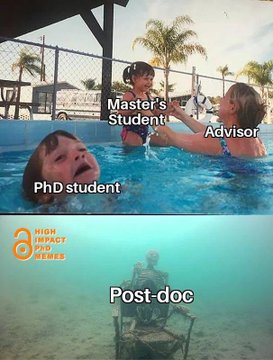 lemuscanovas's tweet photo. He rigut bastant amb aquesta imatge, però és força similar a la realitat. 😬 #SinCienciaNoHayFuturo #phdlife https://t.co/WsVTWqwT4Z