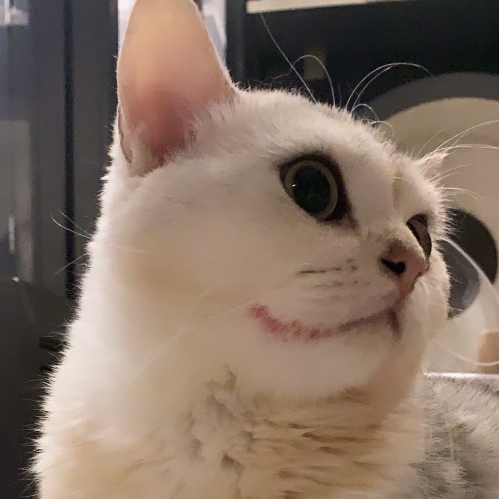 Bonusiie's tweet image. เมื่อตอนเย็นไม่อยู่เลยฝากน้องชายเข้ามาป้อนยาบีกินให้ ละดูความเลอะนี่555