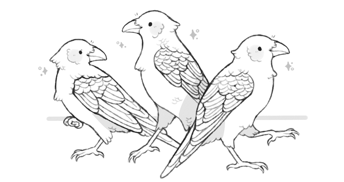 sketch of some crow bros 