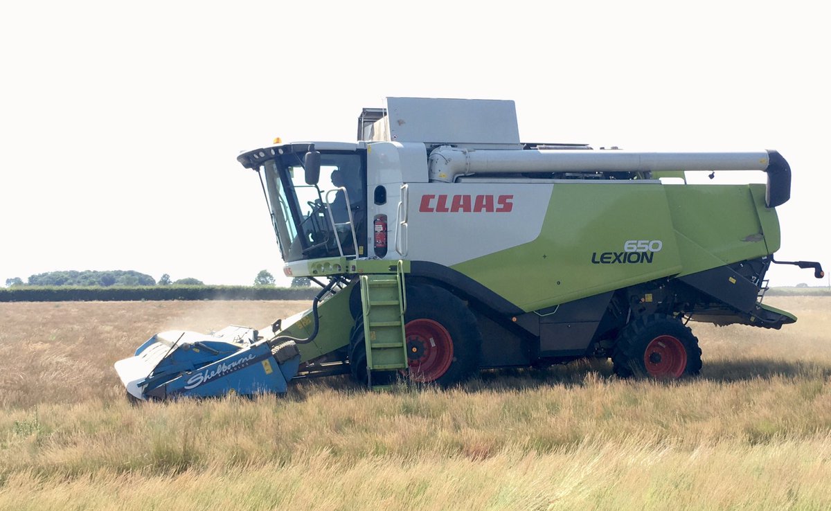 alastairhill6's tweet photo. Harvest has started early this year! And same day drilling and rolling for next year’s harvest  #harvest20 https://t.co/ivK5R6zBBf