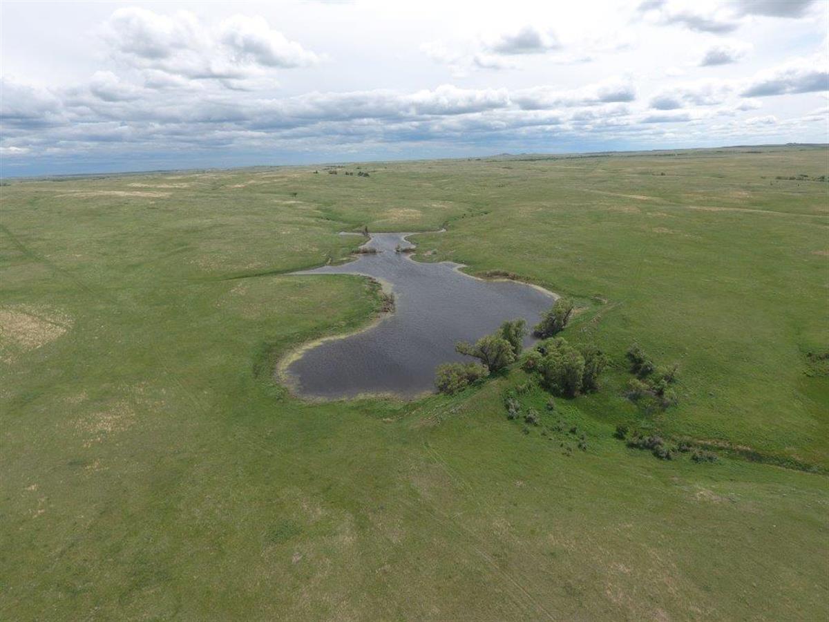 AUCTIONFLIP's tweet photo. Feature #Auction: The Farnham Ranch, 10,771 +/- contiguous acres, is going to auction on July 10. The SD ranch will be selling absolute, offered as 4 individual tracts and as one unit. Online bidding available. Conducted by Bradeen Real Estate &amp; Auctions. https://t.co/qmUrAHank3 https://t.co/FAbJKdKOJ4