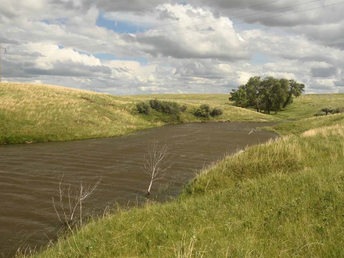 AUCTIONFLIP's tweet photo. Feature #Auction: The Farnham Ranch, 10,771 +/- contiguous acres, is going to auction on July 10. The SD ranch will be selling absolute, offered as 4 individual tracts and as one unit. Online bidding available. Conducted by Bradeen Real Estate &amp; Auctions. https://t.co/qmUrAHank3 https://t.co/FAbJKdKOJ4