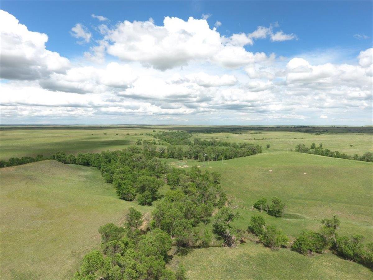 AUCTIONFLIP's tweet photo. Feature #Auction: The Farnham Ranch, 10,771 +/- contiguous acres, is going to auction on July 10. The SD ranch will be selling absolute, offered as 4 individual tracts and as one unit. Online bidding available. Conducted by Bradeen Real Estate &amp; Auctions. https://t.co/qmUrAHank3 https://t.co/FAbJKdKOJ4