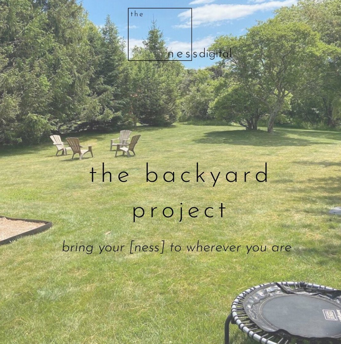 lets_ness's tweet photo. as summer comes around, we’re taking digital outdoors. get some [virtual] vitamin D while you’re sweating through the backyard project, our special capsule of on demand bounce &amp; sculpt videos on the ness digital.
mondays = new[ness] added. 
#workoutfromhome #fitness #thenessnyc https://t.co/pD4FyXGyVT