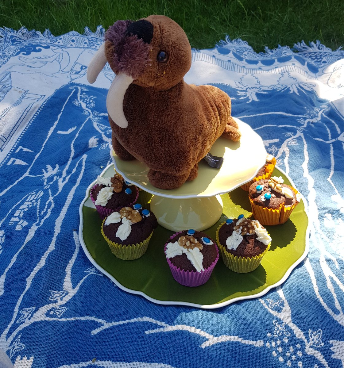 SuzannahCSW's tweet photo. Enjoying a #WalrusTeaParty in the garden with Mocha and Walnut cupcakes and ice cream sandwiches to keep @HornimanWalrus cool. https://t.co/5Um7B0mqzG