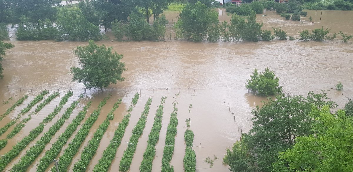 Nikolas1x2's tweet image. 