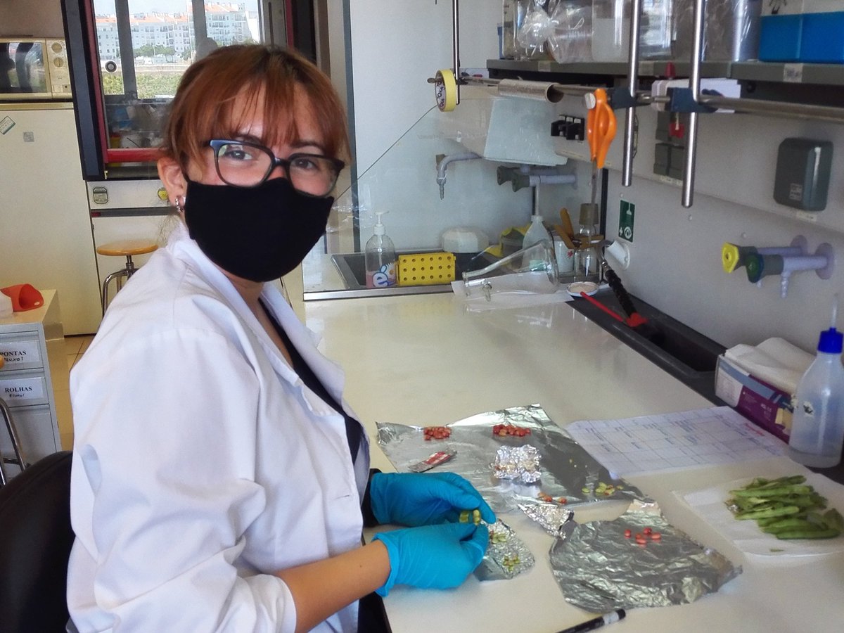Plant Cell Biotechnology Laboratory tweet media
