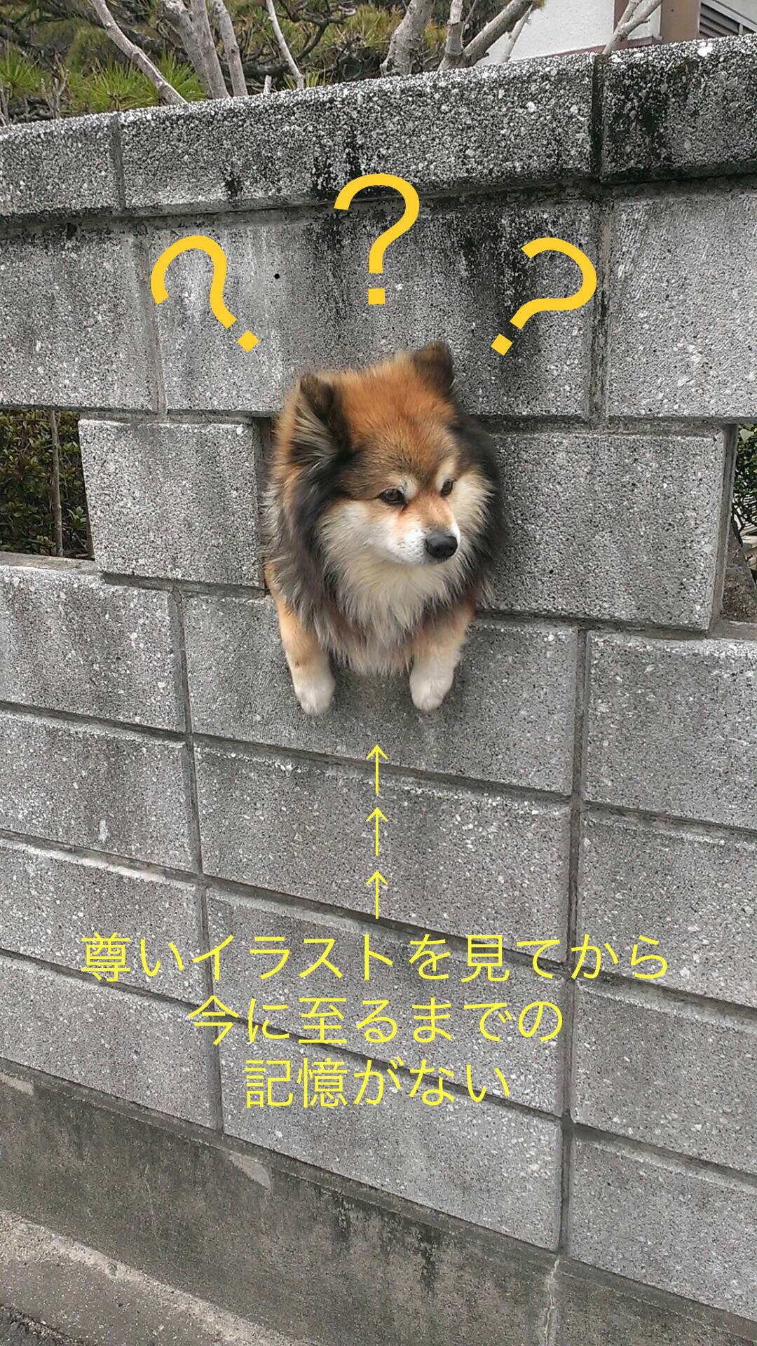 @haigore イッヌ「僕はどうしてここにいるワン？？？」 