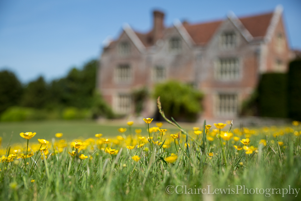 ChawtonHouse's tweet photo. Who else misses this view? Well now you can see it yourselves from July 4 when our gardens re-open to the public!! All entry must be booked in advance online, find out everything you need to know here:
https://t.co/0l38GGI2B8 https://t.co/Xo6YrQvew4