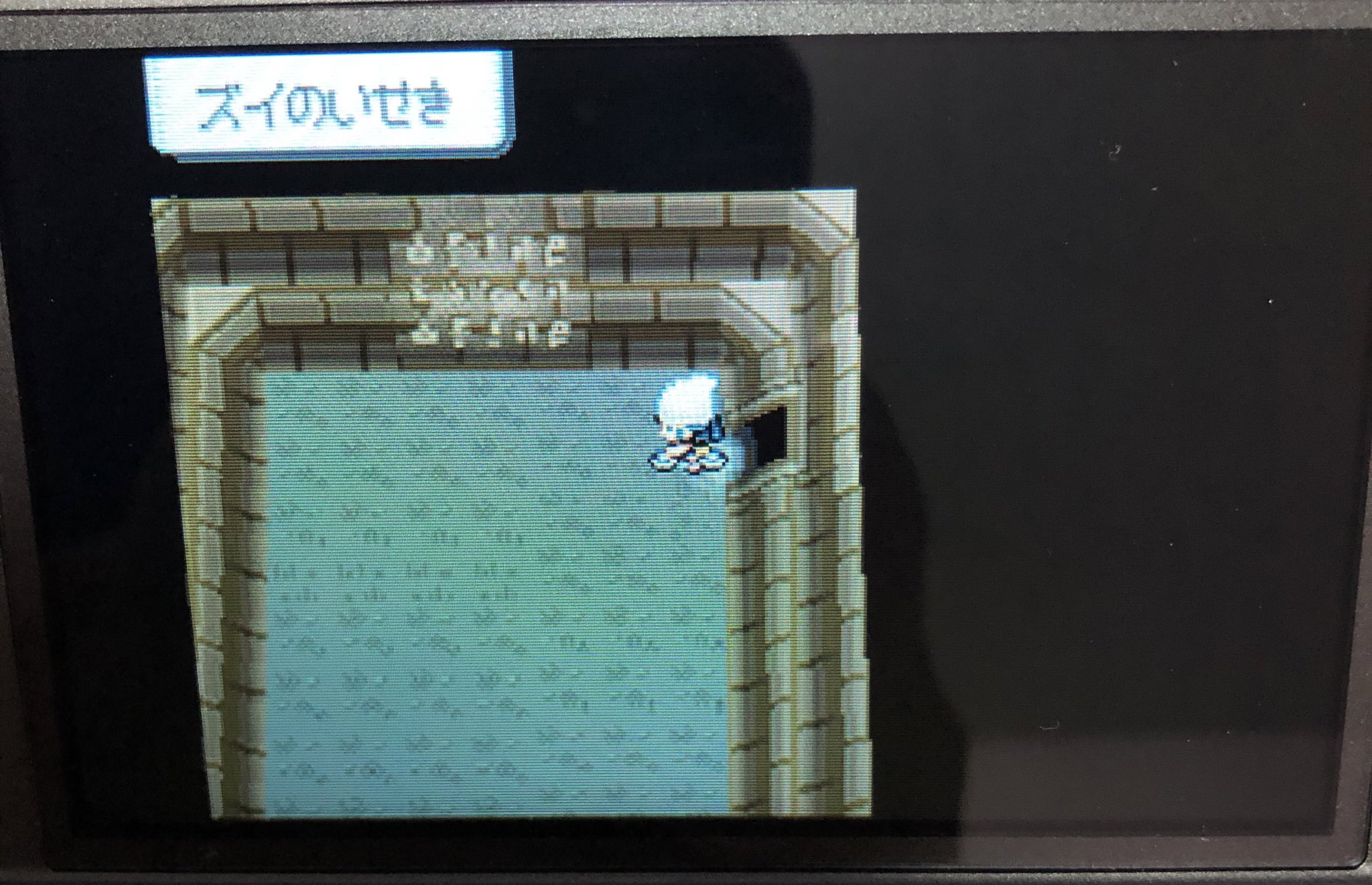 まなてぃ ポケモンgo4赤 兵庫 姫路 加古川 Auf Twitter ズイの遺跡に遊びに来ました ポケモンパール T Co Tfzqdlvaz9 Twitter